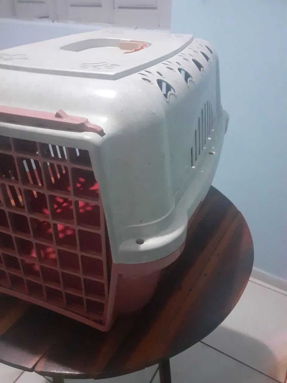 Caixa de Transporte para Cães e Gatos! - Foto 2