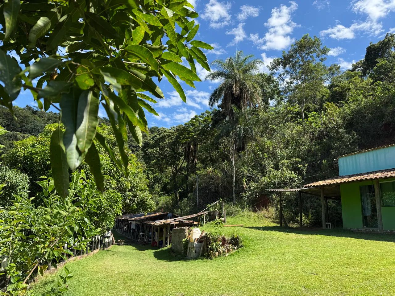 Vende-se Sítio  - Foto 2