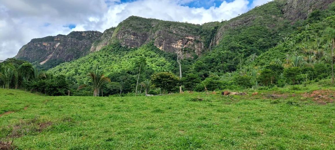 Um paraíso  - Foto 2