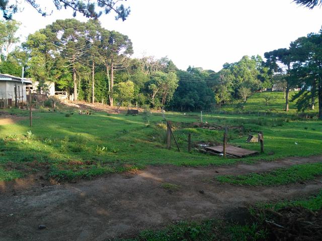 Chácara de 8.000 m² .R$ 400.000,00 Guarapuava PR - Foto 10