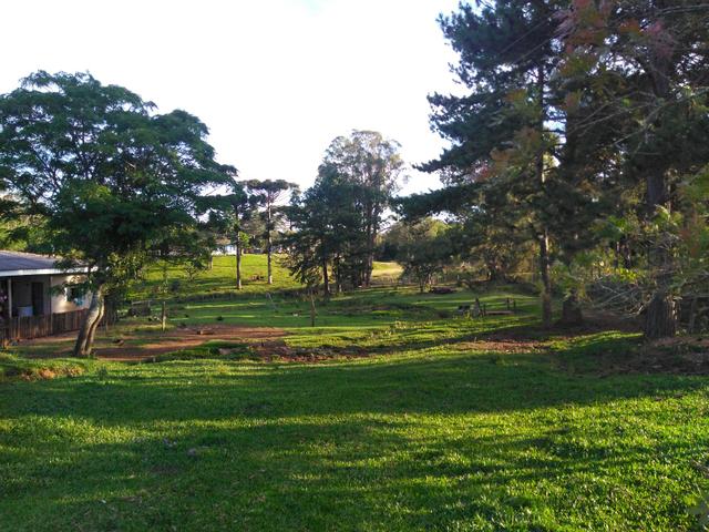 Chácara de 8.000 m² .R$ 400.000,00 Guarapuava PR - Foto 5