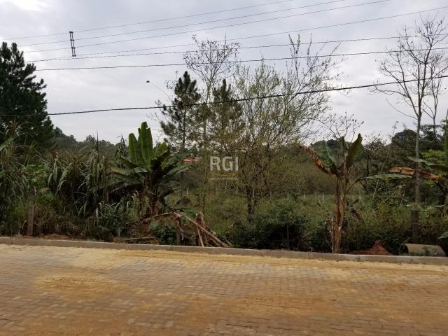 Terreno à venda em Centro, Nova santa rita cod:BD3719 - Foto 5