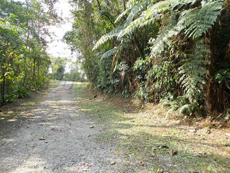 Terreno à venda em Serra da cantareira, São paulo cod:144824 - Foto 2