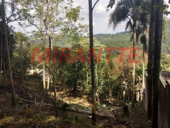Terreno à venda em Serra da cantareira, São paulo cod:316802 - Foto 2