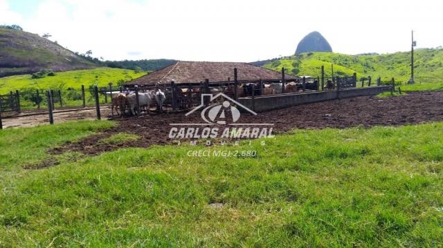 Fazenda à venda, , zona rural - carlos chagas/mg - Foto 5