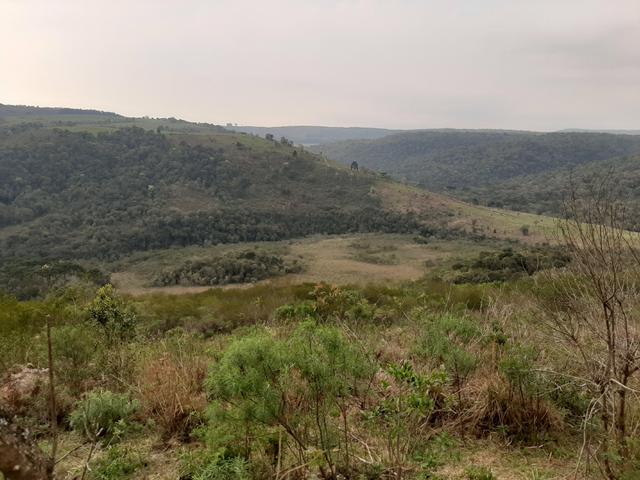 Fazenda de 100 Alqueires. 70 de capoeira - 16 km da Colônia Vitória. Guarapuava PR - Foto 19