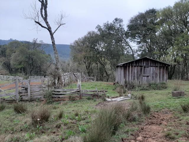 Chácara de 39 Alqueires. 18 de pasto - 26 km da Colônia Vitória . Guarapuava PR - Foto 8
