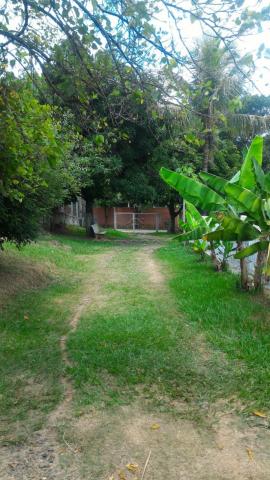 Sítio para alugar em Loteamento auferville, Sao jose do rio preto cod:L7151 - Foto 17