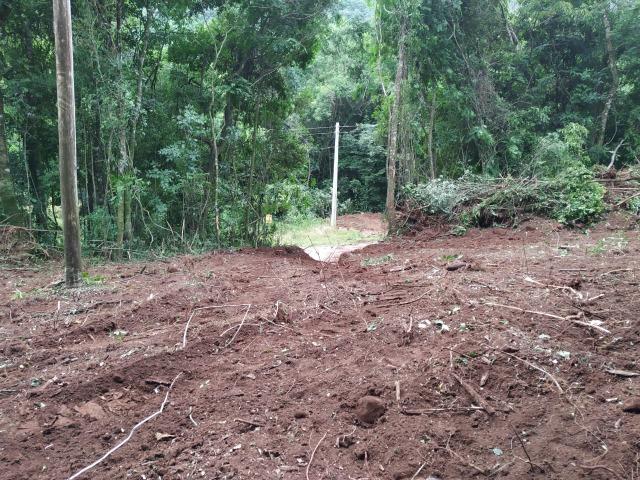 Chácara em Nova Petrópolis com 5000 m² - Pinhal Alto