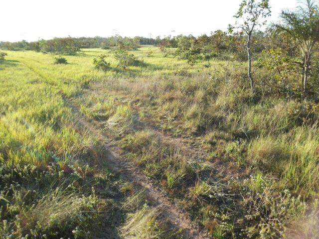 245 Ha Pecuaria Piscicultura Lazer Beira Rio Proximo Cuiaba Santo Antonio MT - Foto 2
