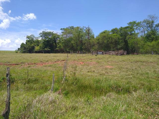 Sitio á venda em Fernandópolis - Foto 18