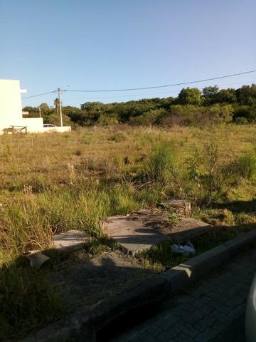 Terreno atrás do Zaffari Hípica - Foto 2