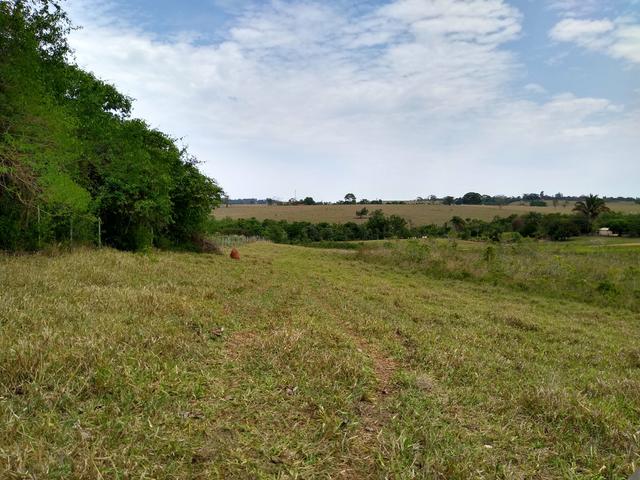 Sitio á venda em Fernandópolis - Foto 3