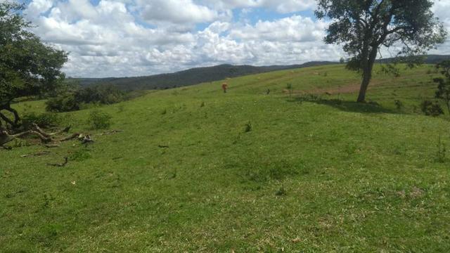 Fazenda Cristianópolis - Foto 9