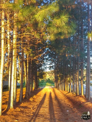 Granja para temporada em Juiz de Fora - Foto 6
