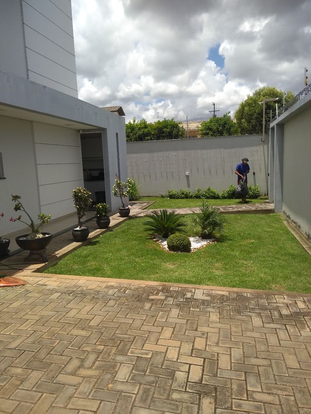 Trabalho com jardinagem - Foto 4