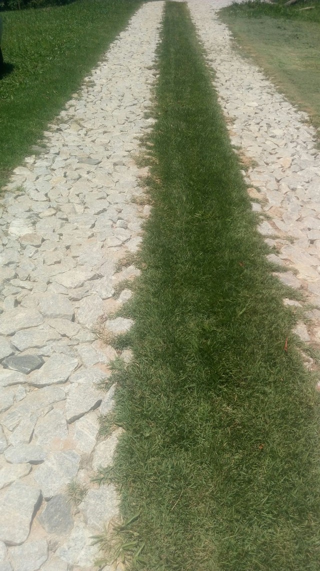 Calçamento de pedras para estradas e patios. - Foto 3