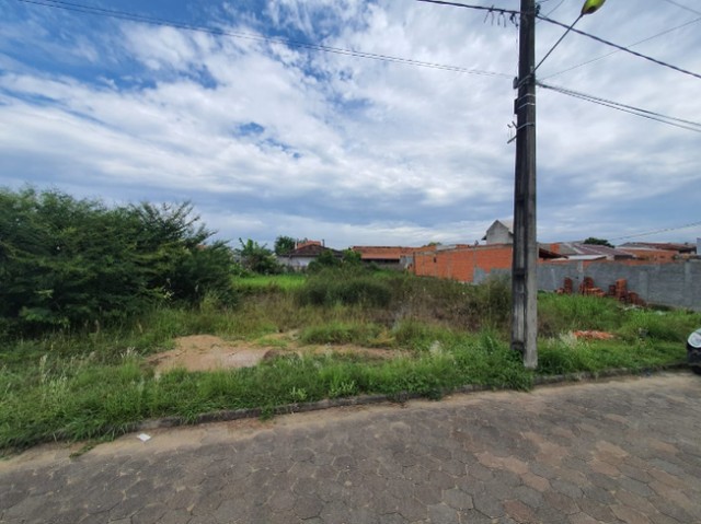 Vendo Terreno no bairro Figueiras em Gaspar - Foto 4