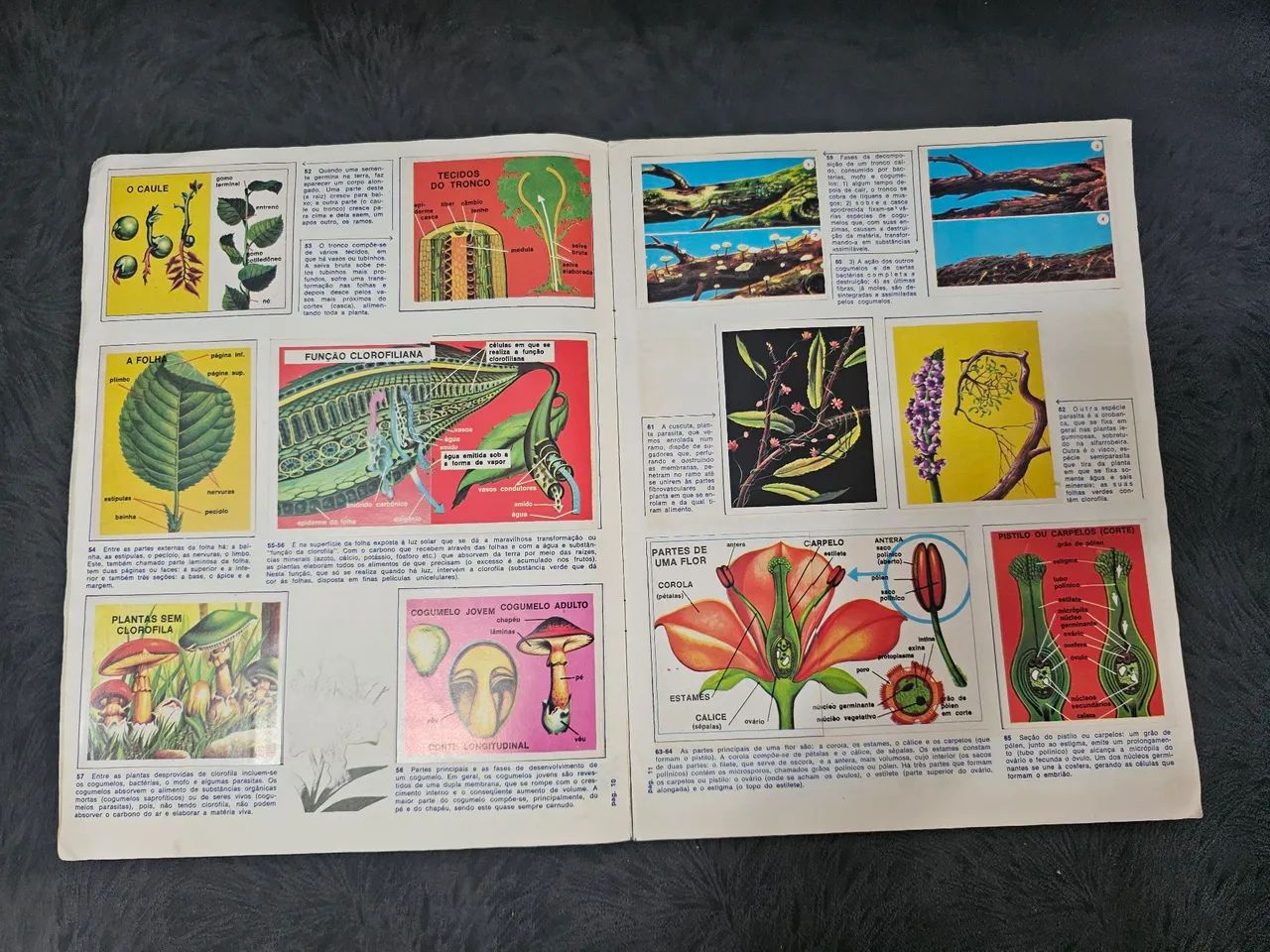 Álbum figurinhas ciências editora vecchi 1976 completo - Foto 4
