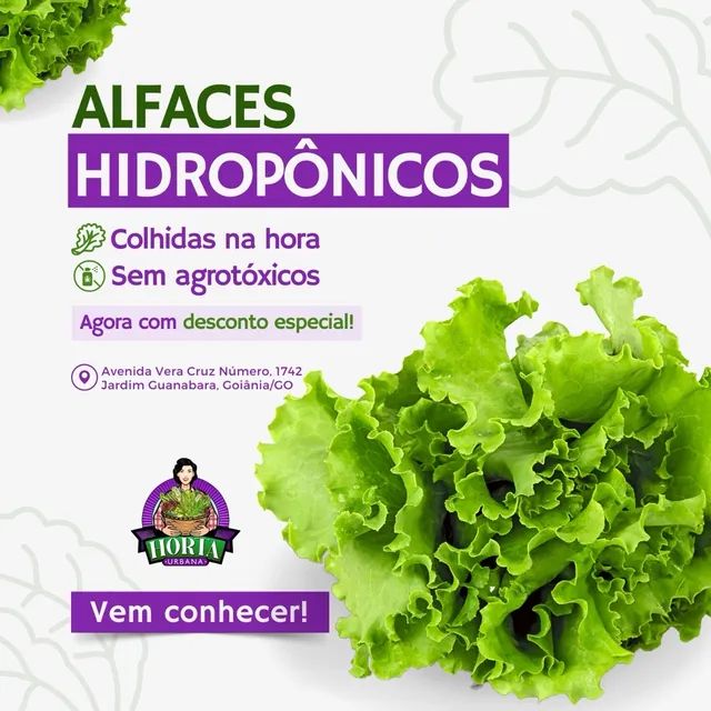 Alface Hidropônica sem agrotóxicos e colhida na hora - Foto 3