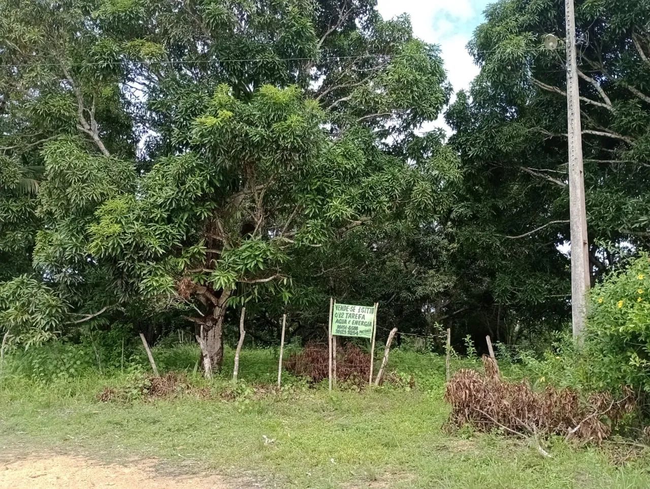 foto - Nossa Senhora do Socorro - 