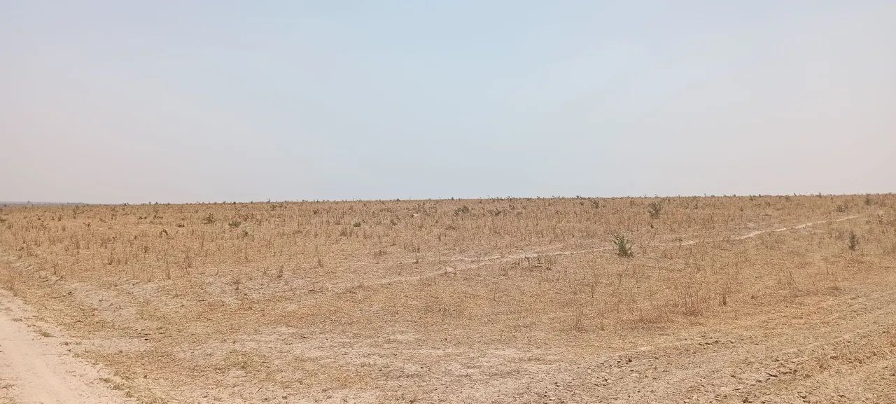 Procuro sócio ou investidor urgente  - Foto 3