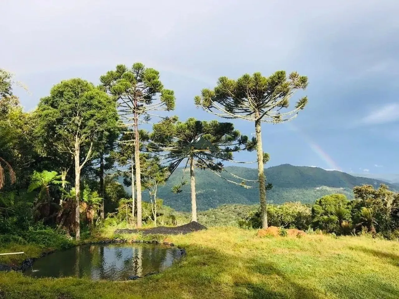 Imóvel para venda possui 2,5 hectares em Santa Tereza - Urubici - SC