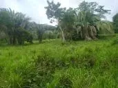 Imóvel para venda tem 100 metros quadrados em Zona Rural - Santo Antônio do Leverger - MT