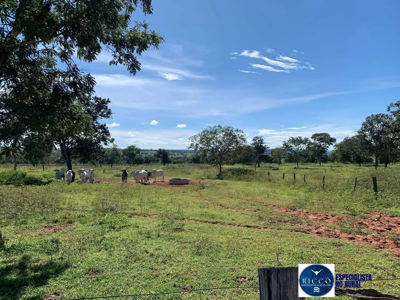 Fazenda à venda na região de Pontal do Araguaia - MT - 420 Alqueires