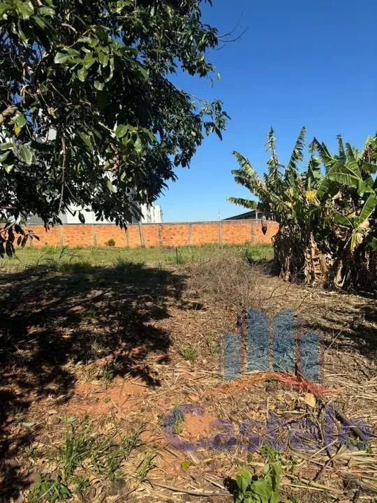 Terreno para Venda em Umuarama / PR no bairro Jardim Europa - Foto 3