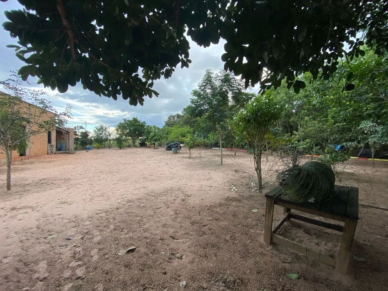 Fazenda próximo à Primavera do Leste-MT - Foto 3