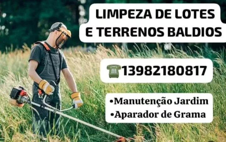 Limpeza de Lotes e Terrenos Baldios