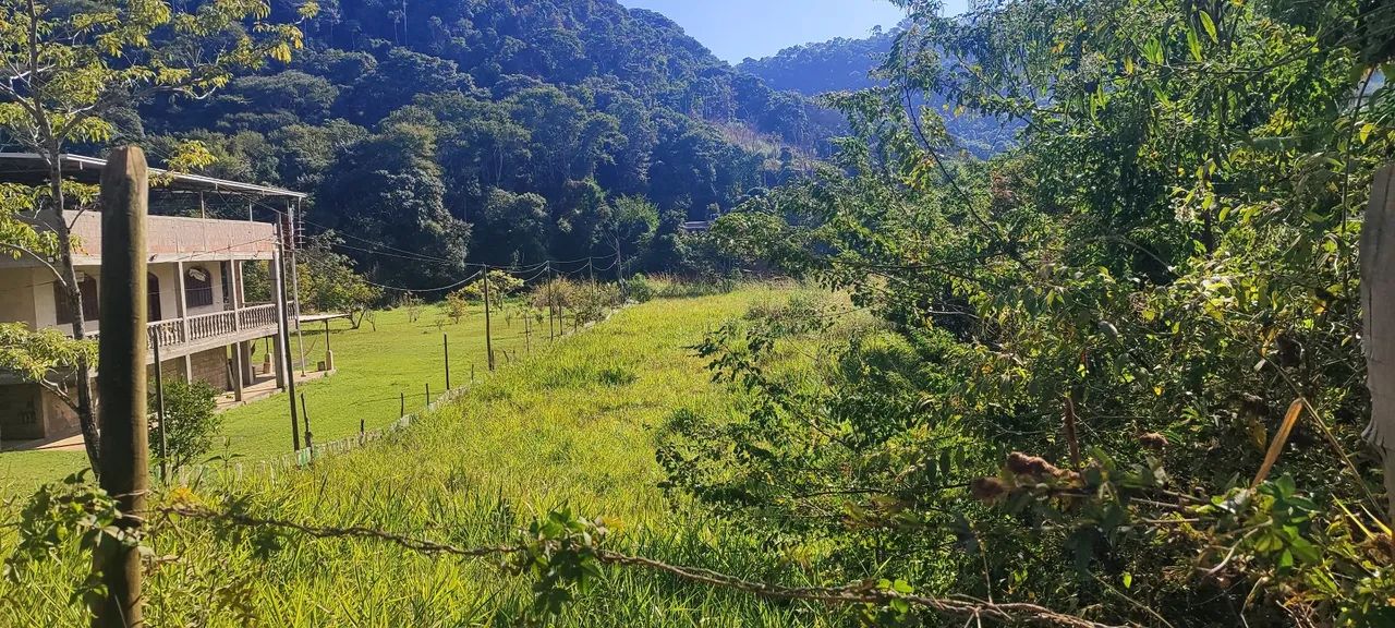 Granja com nascente em Humaitá - Foto 2