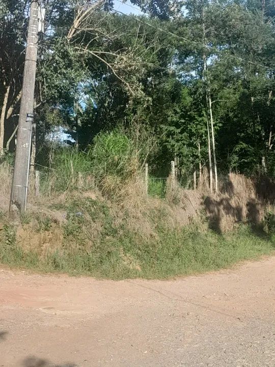 Otimo terreno em nova friburgo 1500 metros - Foto 2