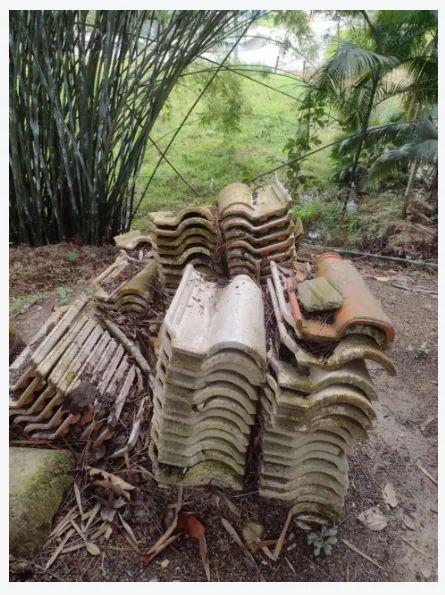 doa-se 120 Telhas (tipo romana) - Foto 2