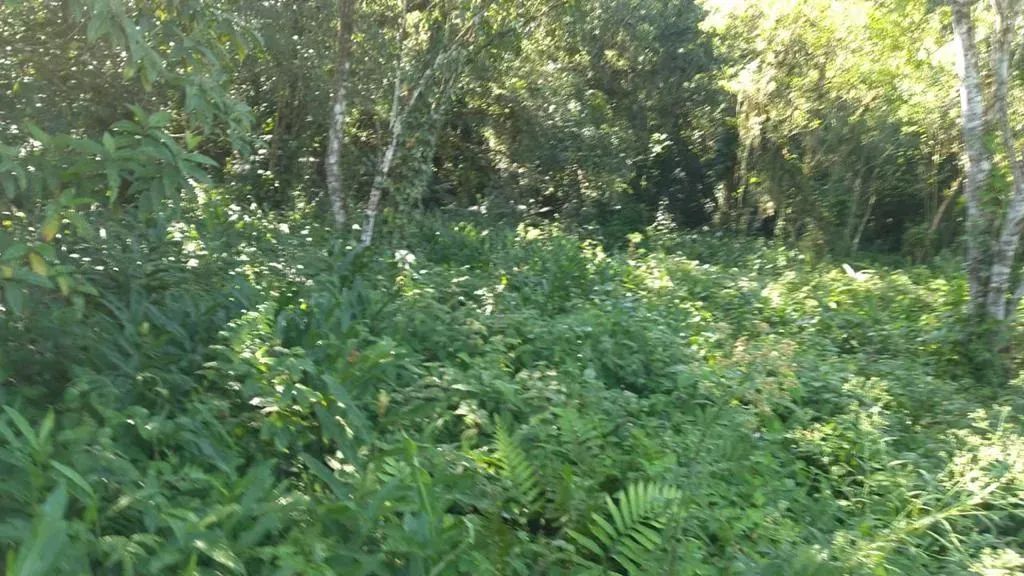 Chácara em Bertioga - Condomínio Parque Caiubura - Foto 5