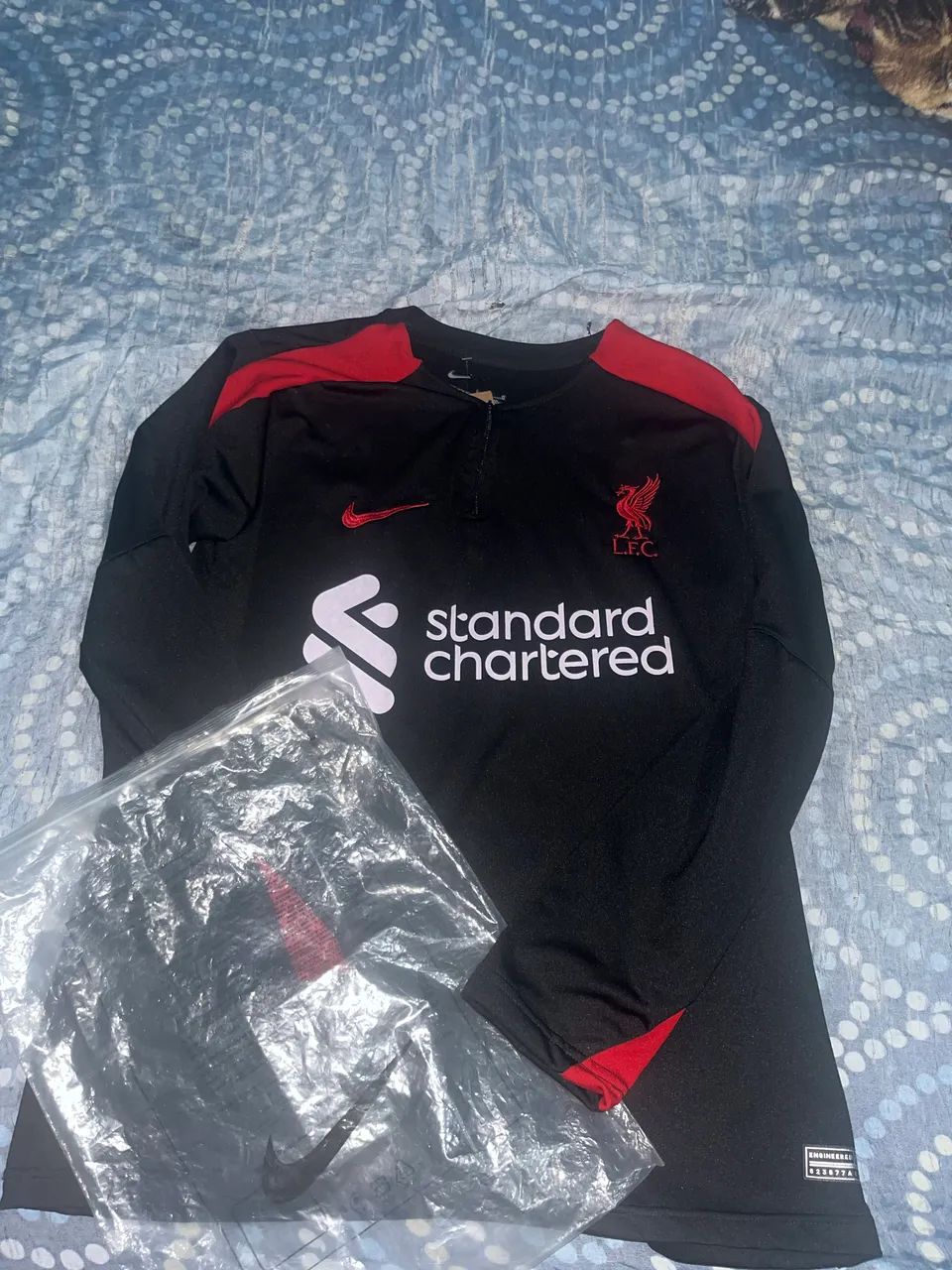 Camisa