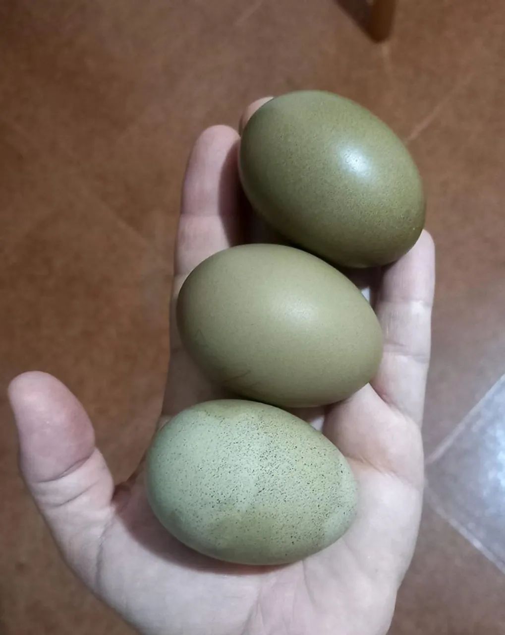 Ovos galados! - Foto 2