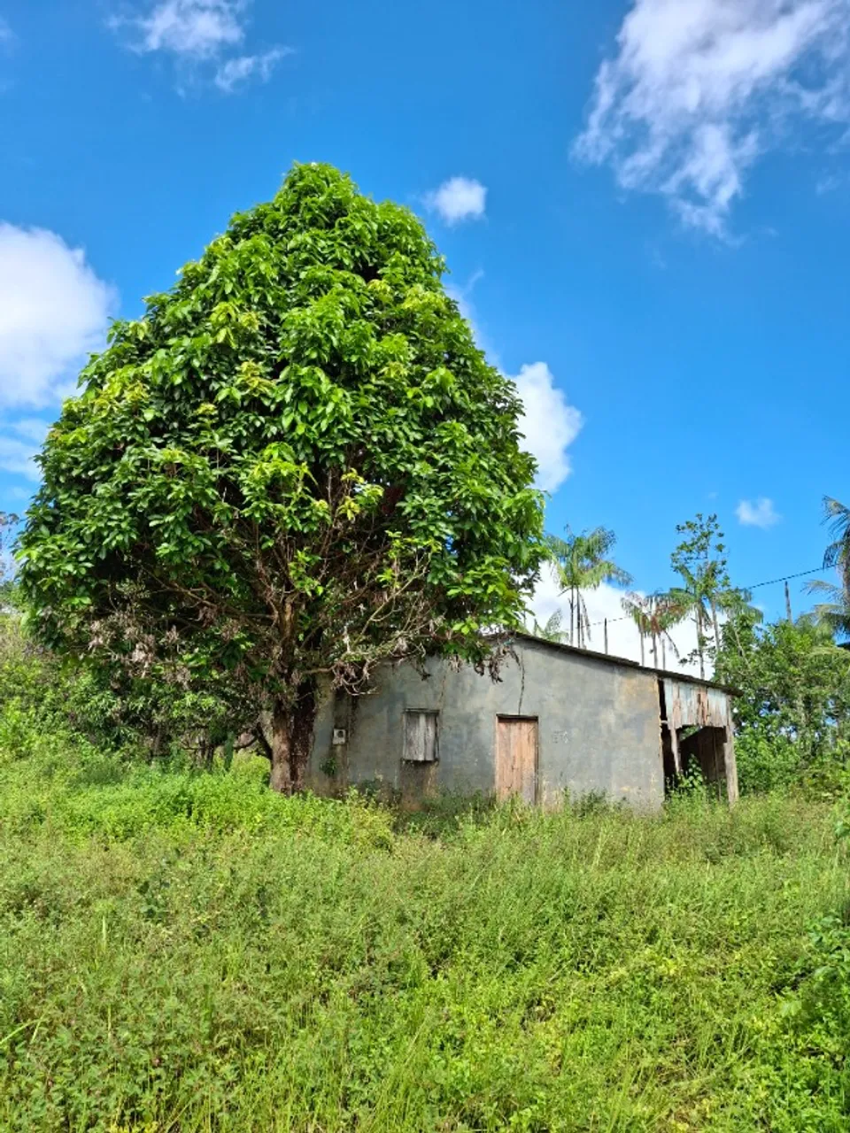 Vende-se terreno em assentamento