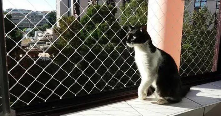 Redes de Proteção  - Foto 4