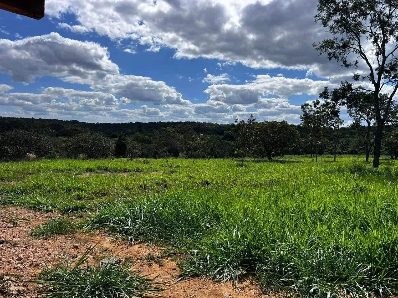 Fazenda com 4 quartos à venda, 0m² - Centro - Foto 5