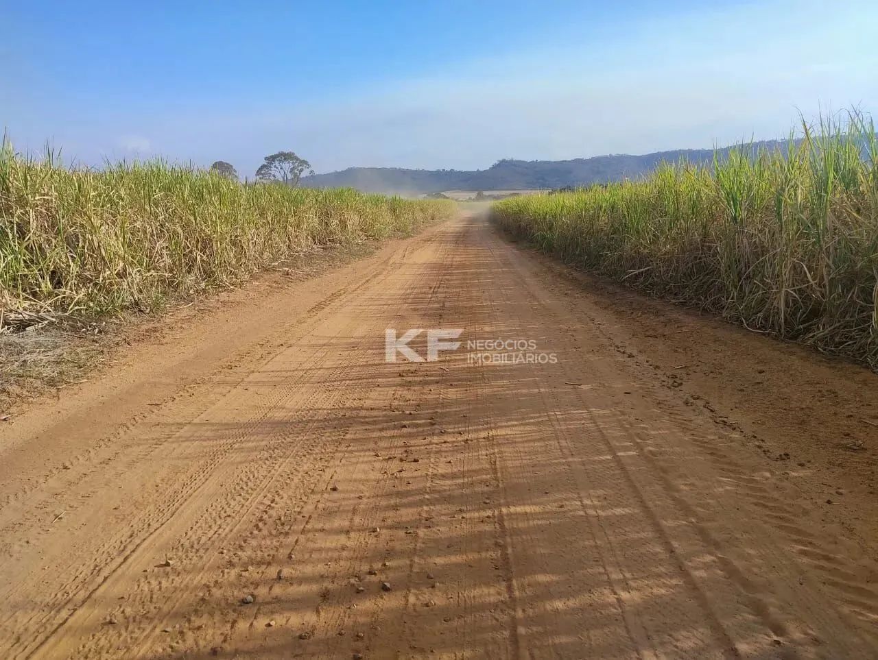 Fazenda a Venda em Mococa- SP - Foto 2