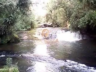 Fazenda à venda em Bananal-SP: 3 quartos, 2 suítes, 1 banheiro, 5 vagas, 1.040.600m² de ár - Foto 5