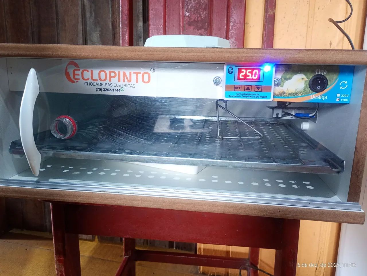 Chocadeira eclopinto - Foto 5