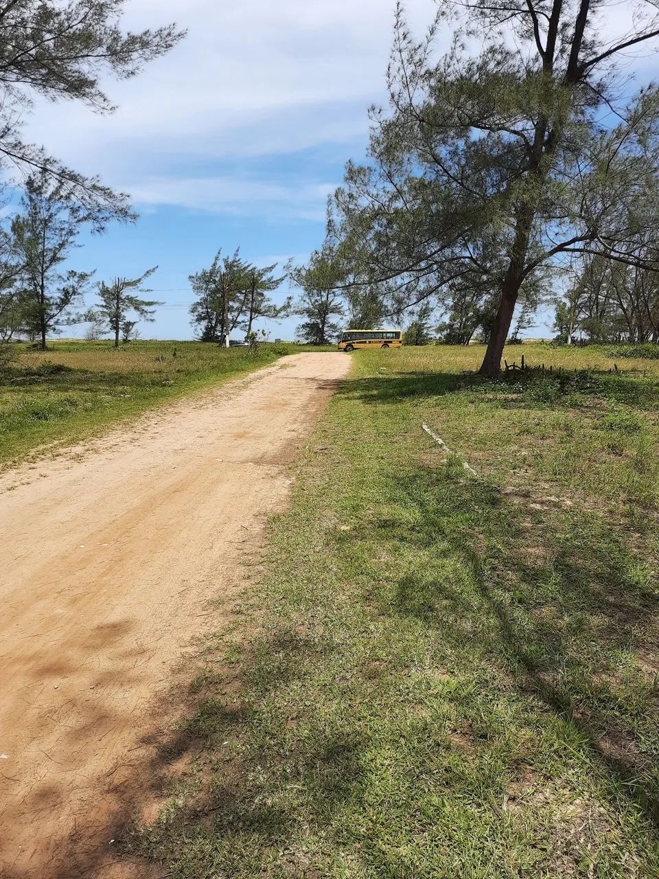 Foto - Campos dos Goytacazes - Centro