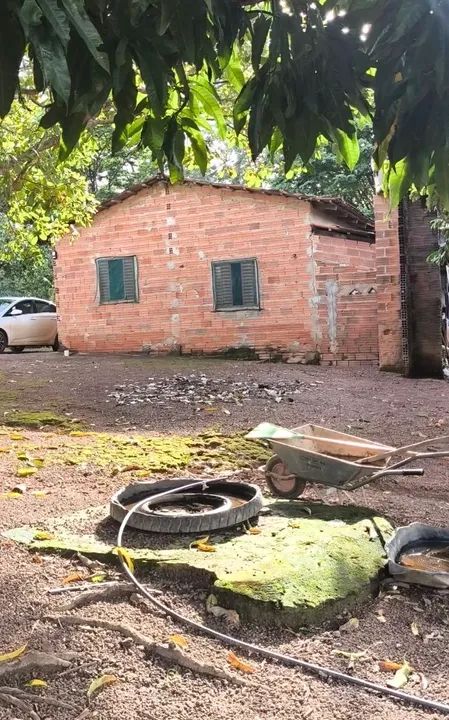 Uma linda Chácara de 7 alqueires Perto de Mundo Novo de Goiás  - Foto 4