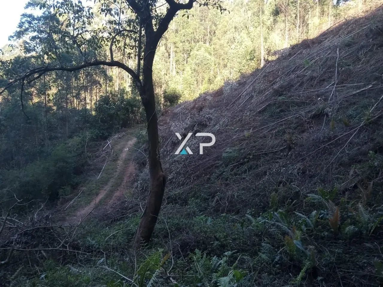 Sítio l Em Anitópolis a venda | - Foto 3