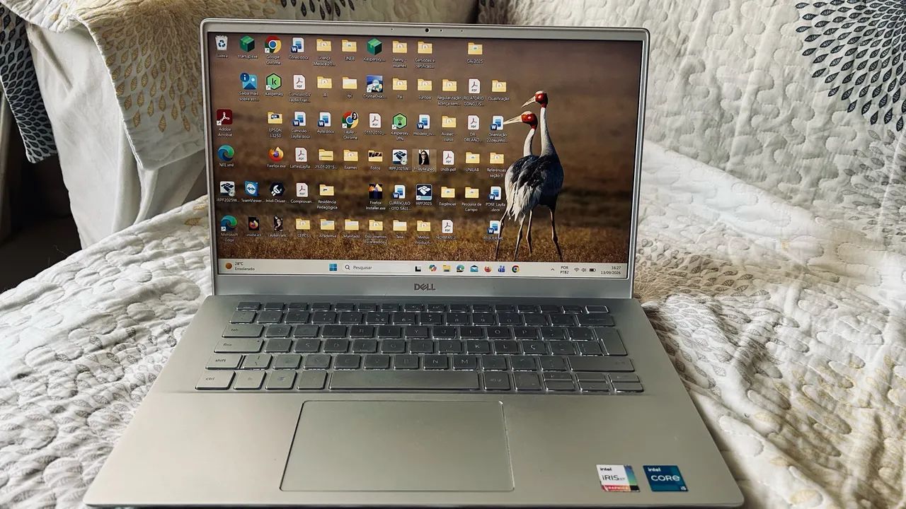 Notebook Dell