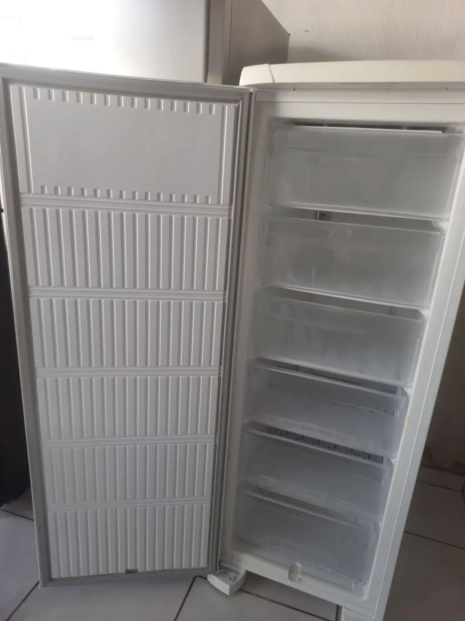 Frezeer vertical Eletrolux  - Foto 2