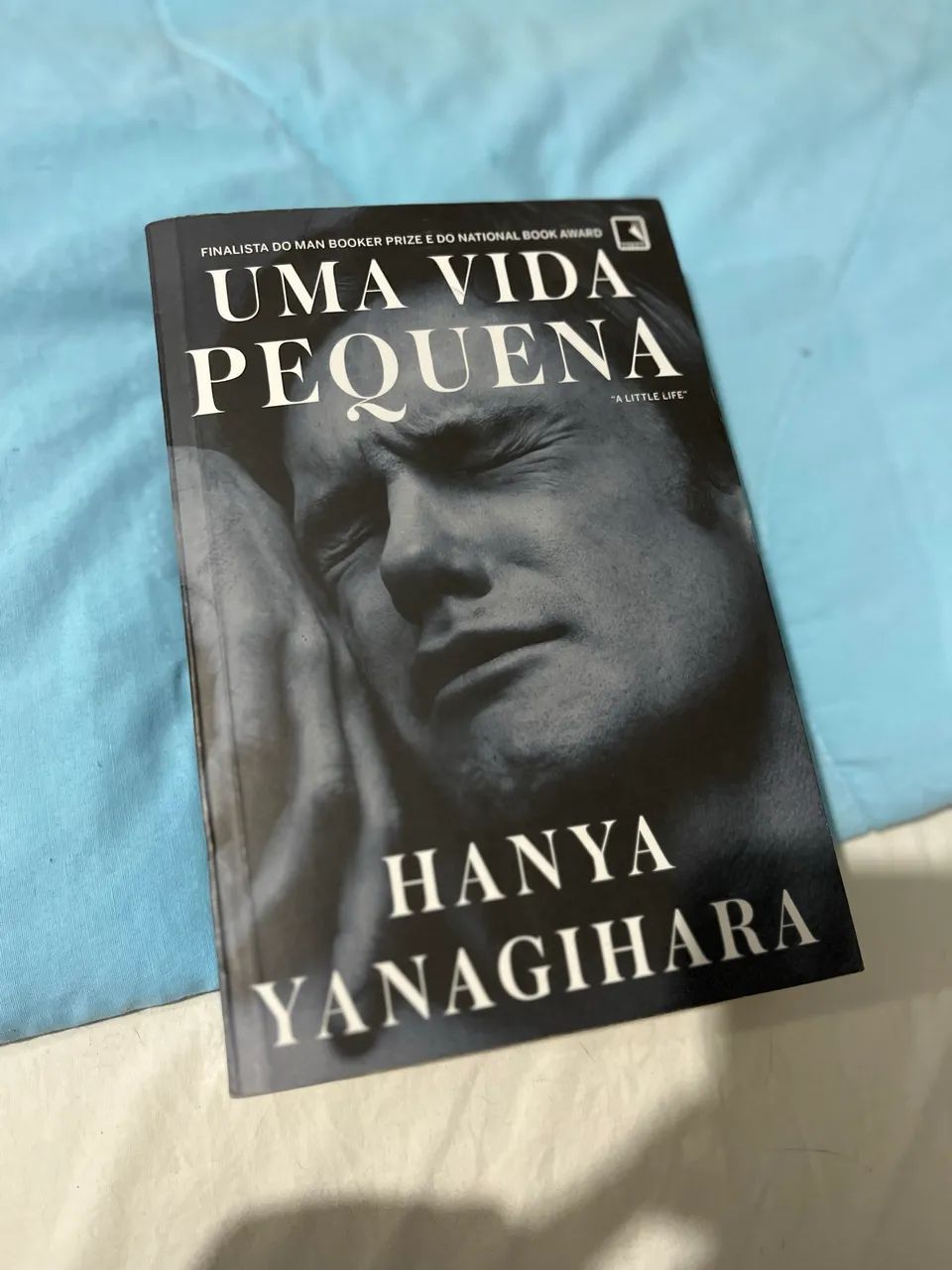 Livro Uma Pequena Vida 